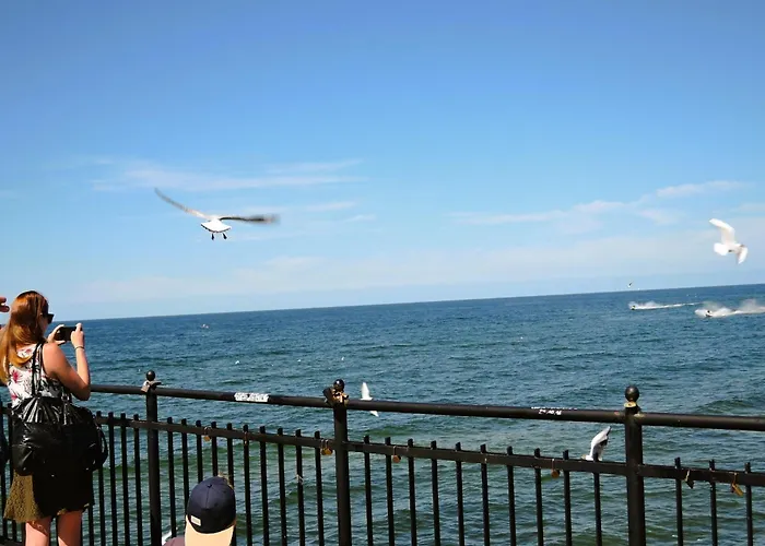 Lägenhet In Mi Dzyzdroje With Swimming Pool And *